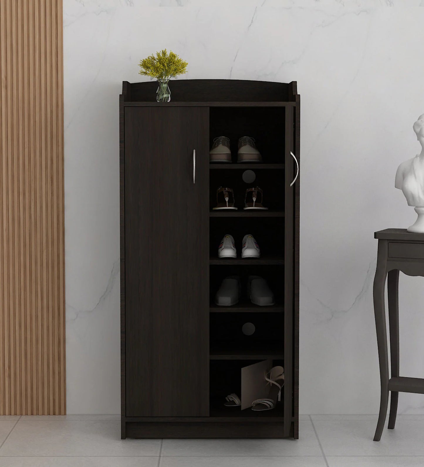 Amro Shoe Cabinet in Dark Wenge Colour