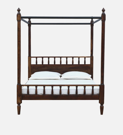Drusilla Sheesham  Provincial Teak Finish