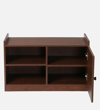 Takako Shoe Cabinet in Walnut Finish