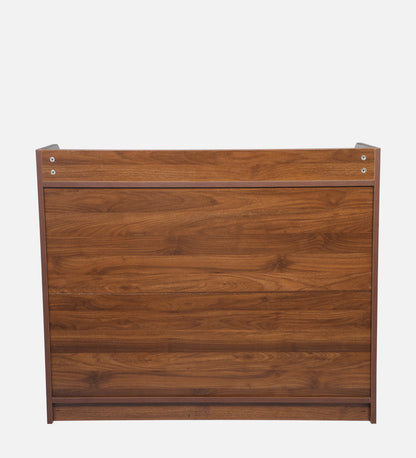 Zen 2 Door Shoe Cabinet In Columbian Walnut Finish with Shelf